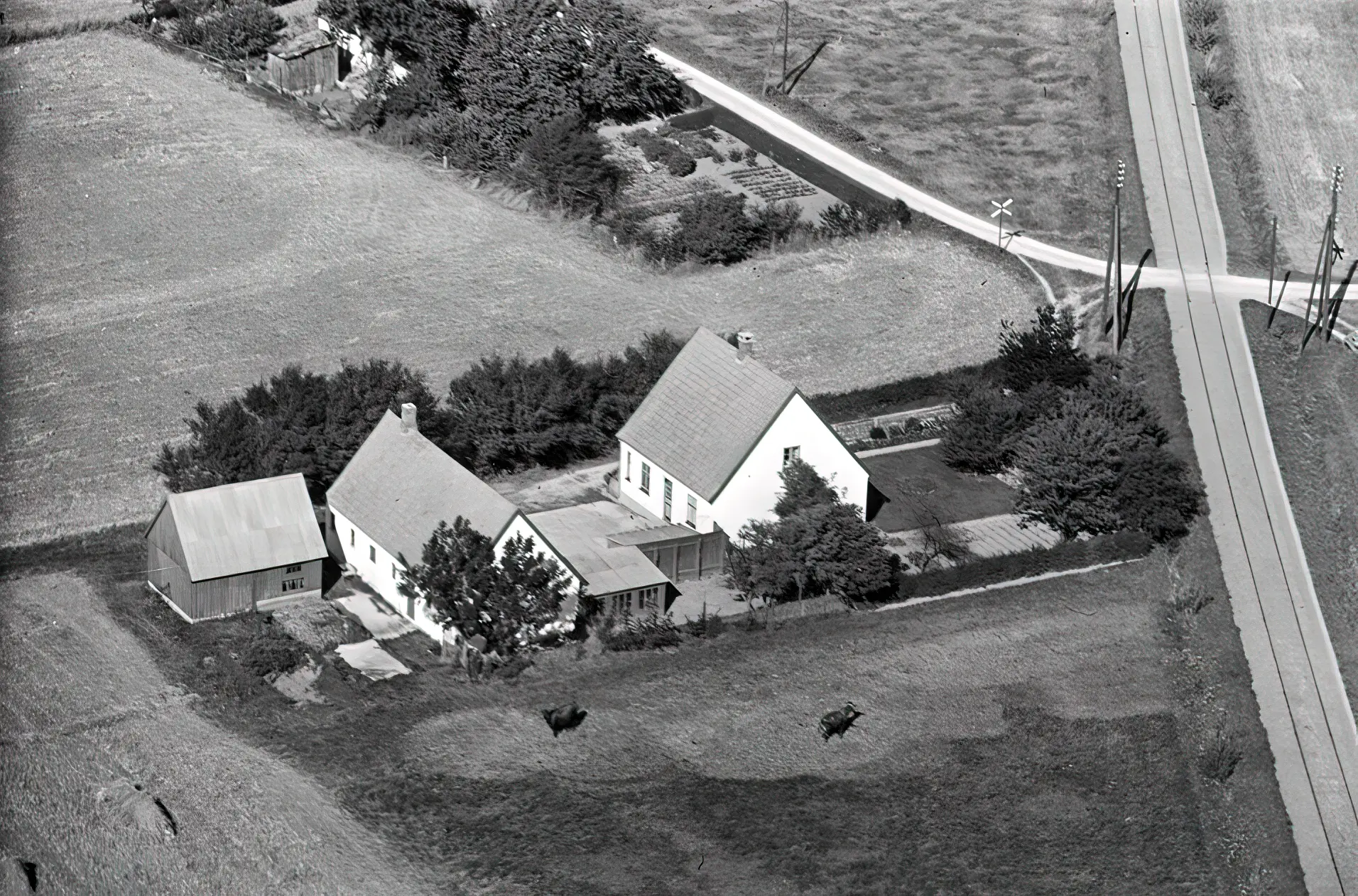 Billede af Græsmarksvej Trinbræt, som kun var der fra 1929-1940 - og på dette billede fra 1949, er alle rester fjernet.