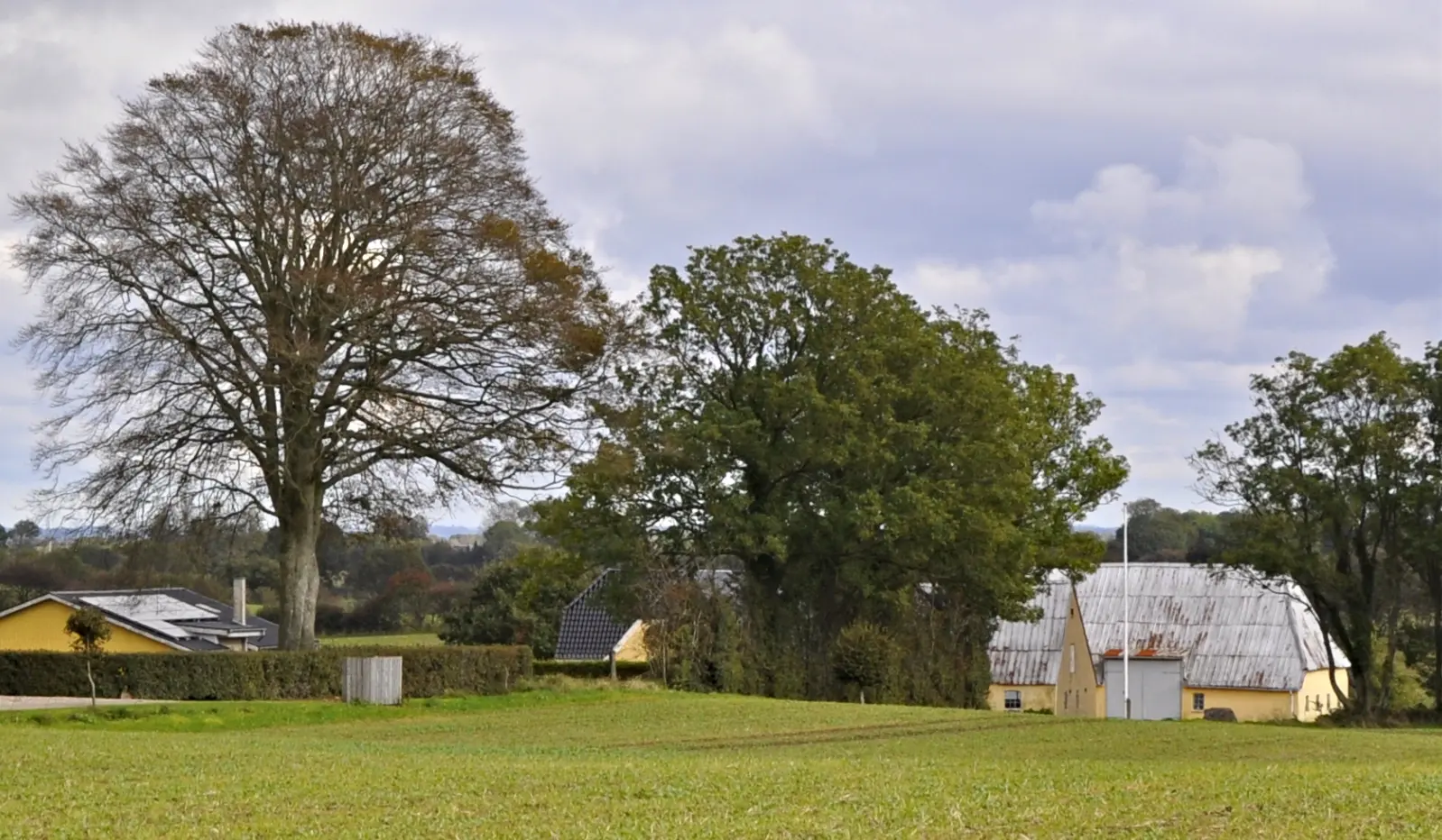 Billede af Bøgholm Holdeplads, lå ved den gule gård i baggrunden.