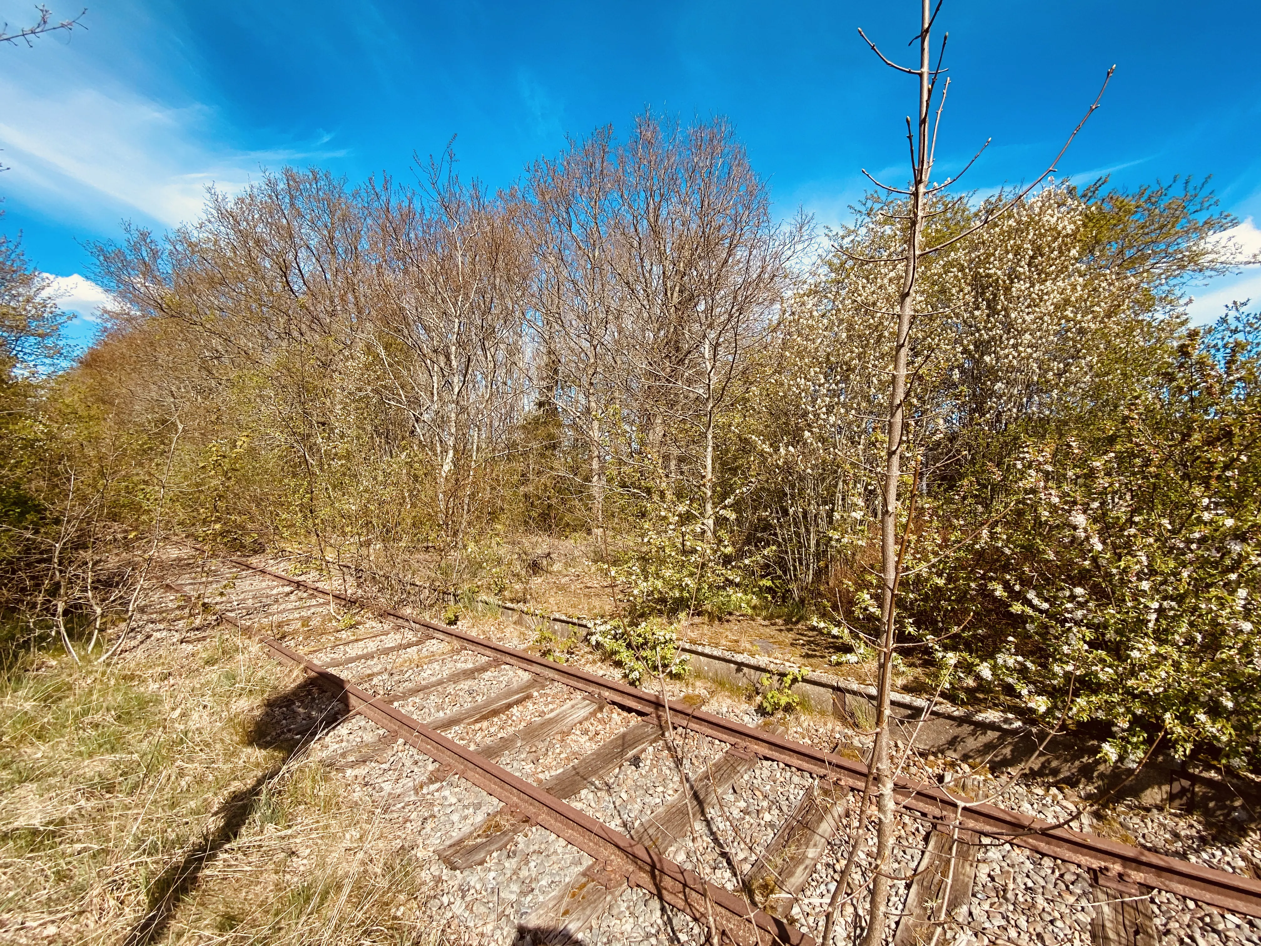 Billede af Terkelsbøl Trinbræt med Sidespor, som er nedrevet, men den har ligget her - perronkanten kan stadig ses.