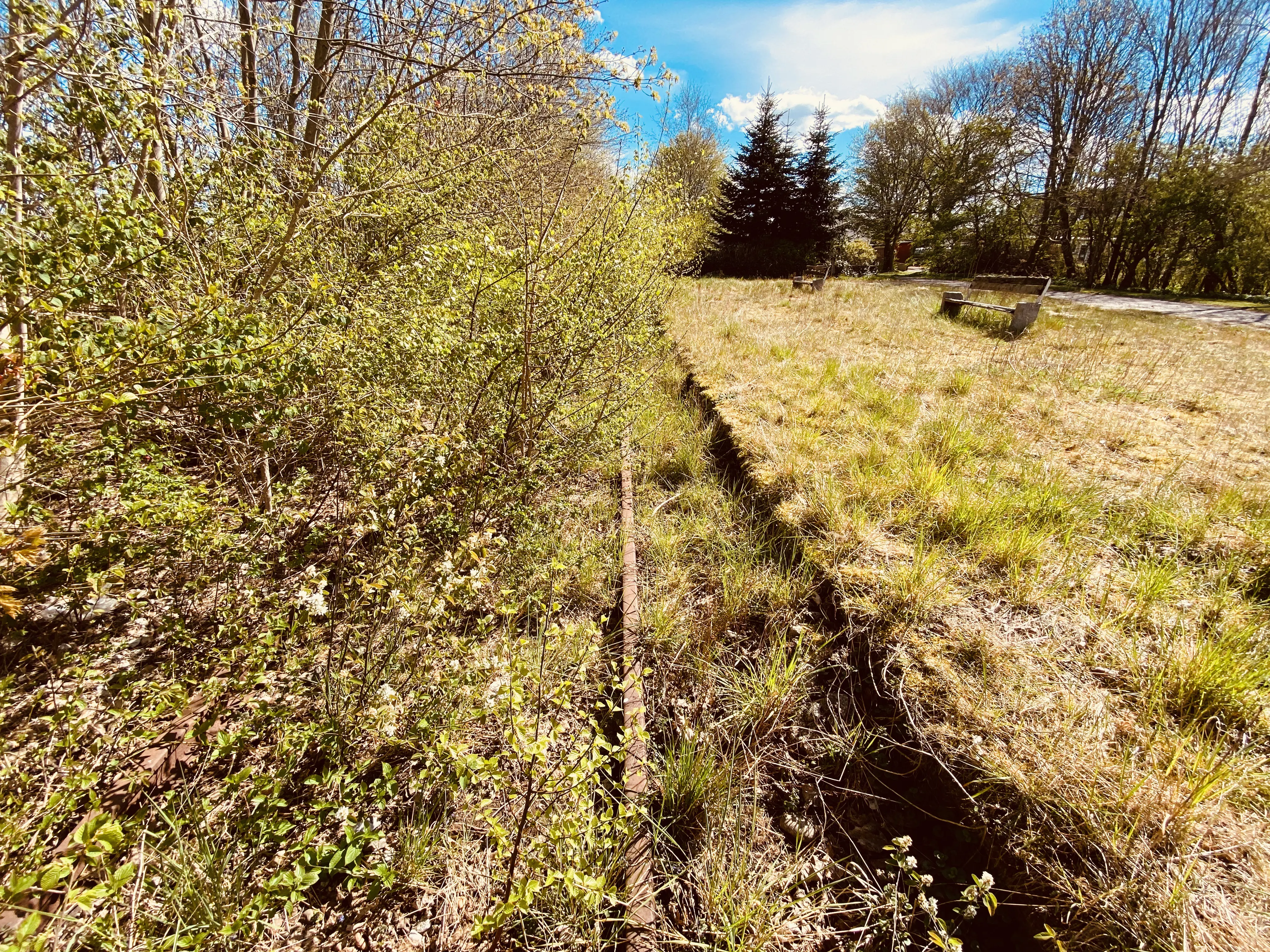 Billede af Jejsing Trinbræt med Sidespor, som er nedrevet, men den har ligget her - perronkanten kan stadig ses.