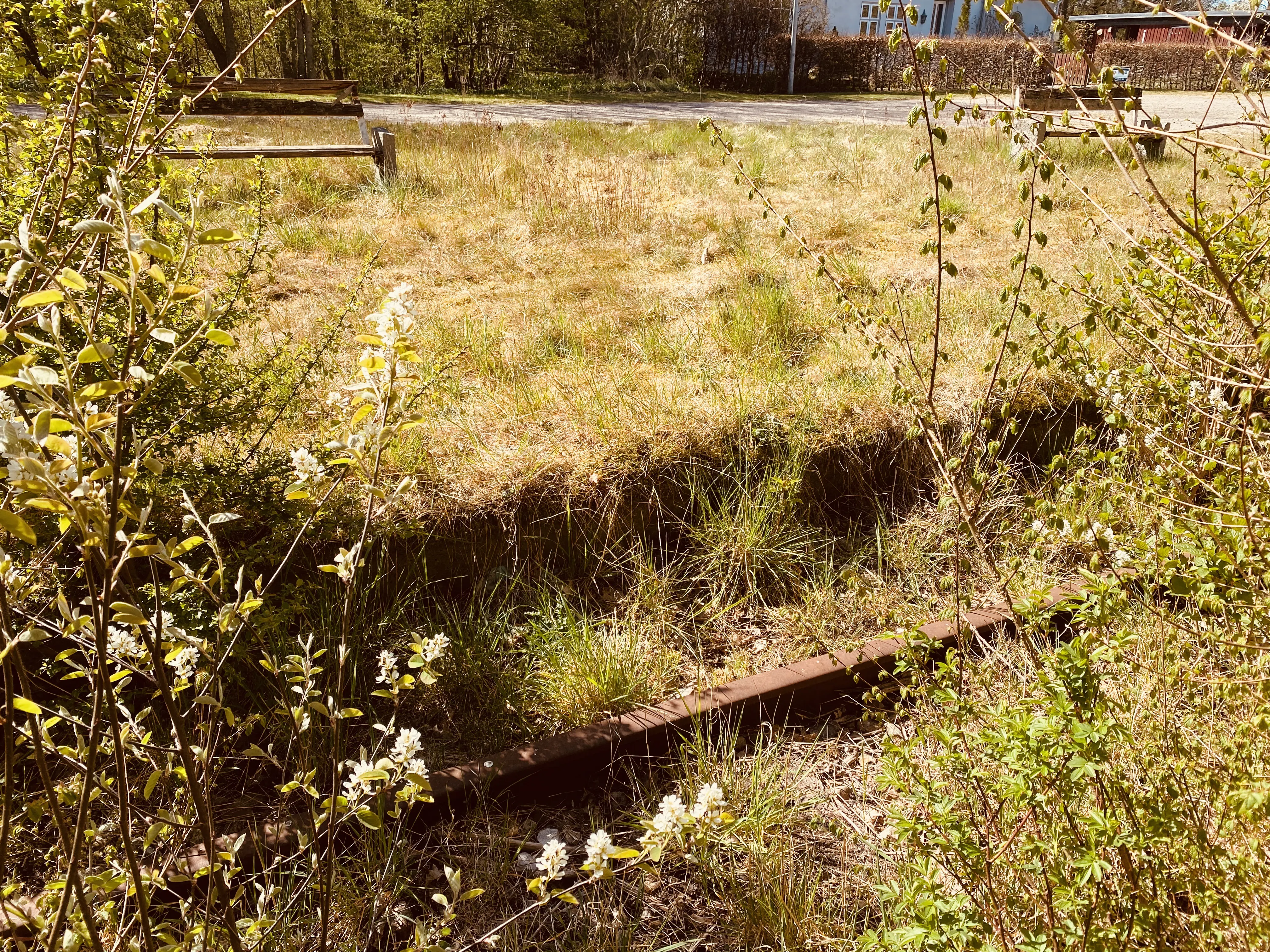 Billede af Jejsing Trinbræt med Sidespor, som er nedrevet, men den har ligget her.