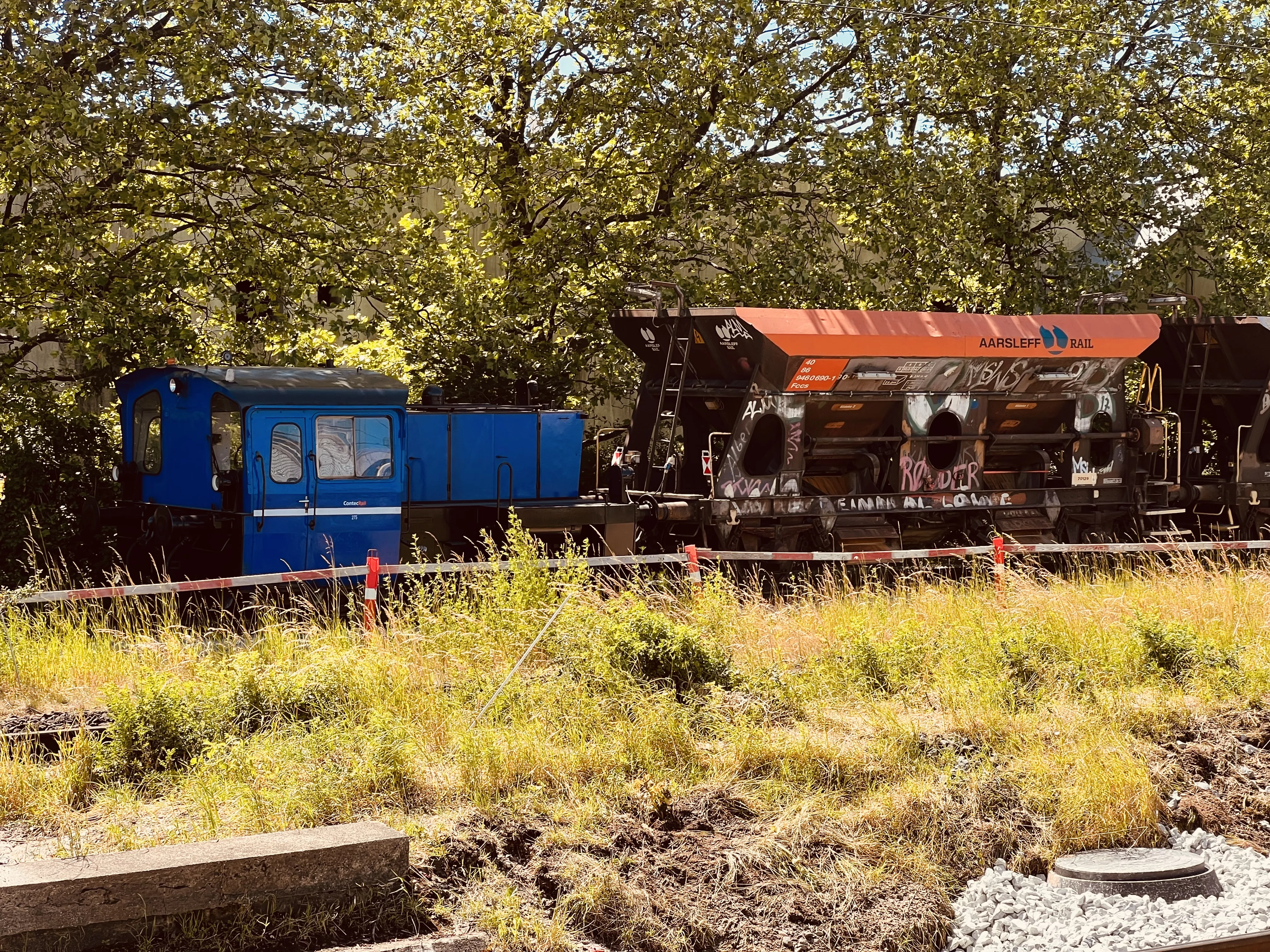 Billede af tog ud for Taastrup S-togstrinbræt.