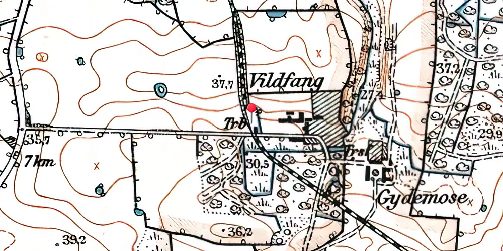 Historisk kort over Vildfang Trinbræt med Sidespor