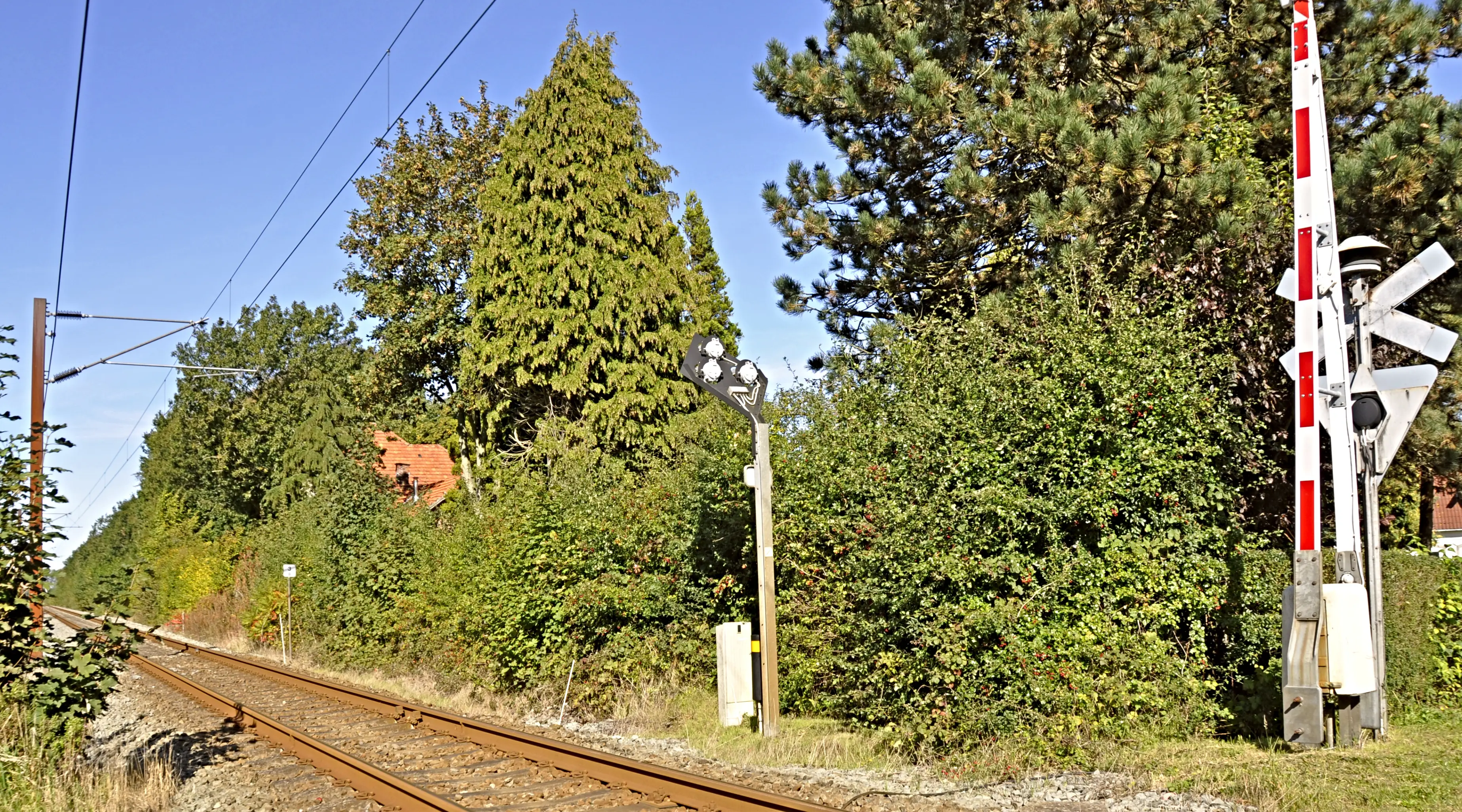 Ragebøl Station set fra banesiden. Stationen er godt gemt bag træerne.
