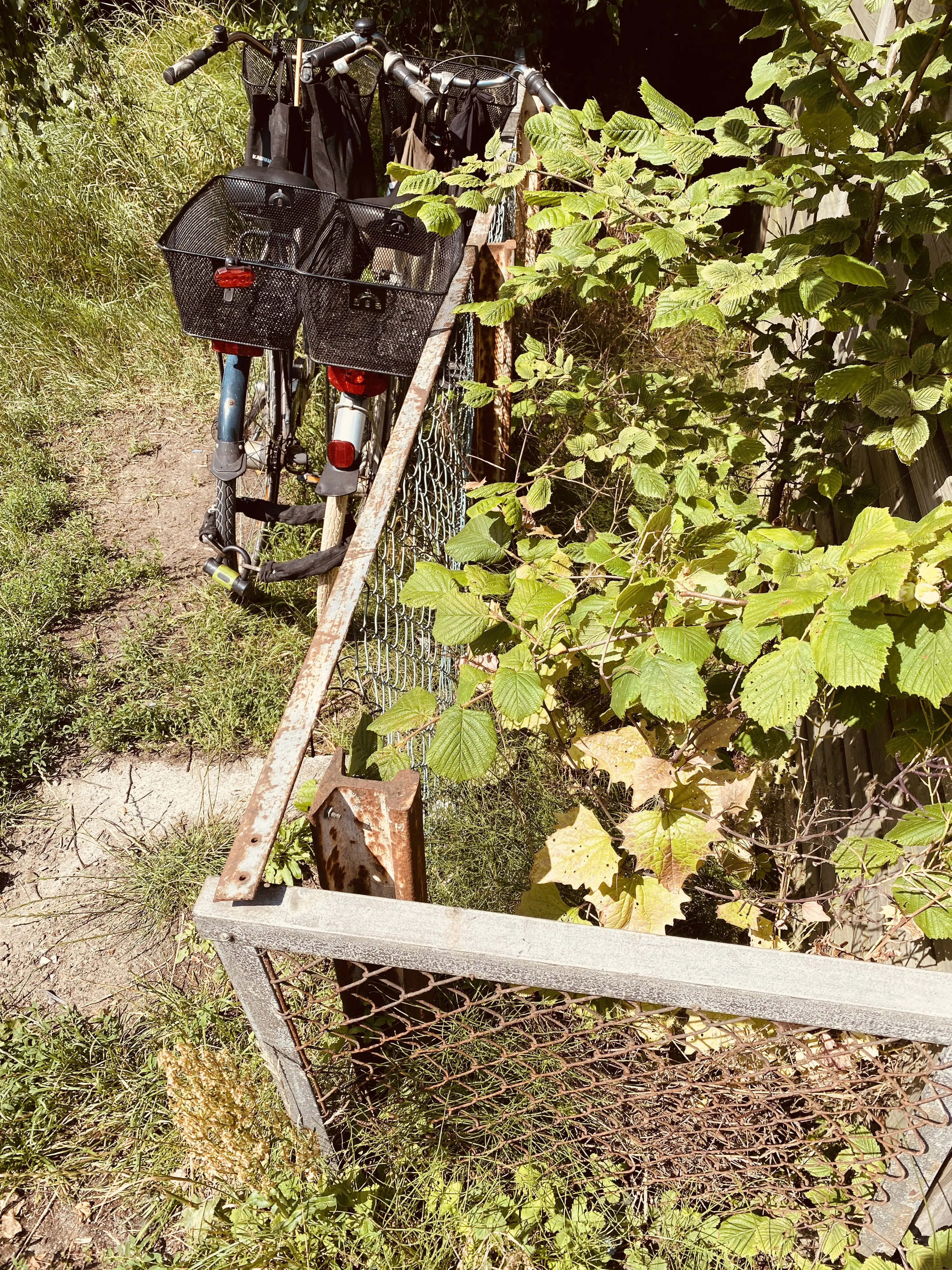 Billede af det gamle hegn, med jernbaneskinner som stolper, ud til det nedlagte Bjørnehoved Trinbræt.