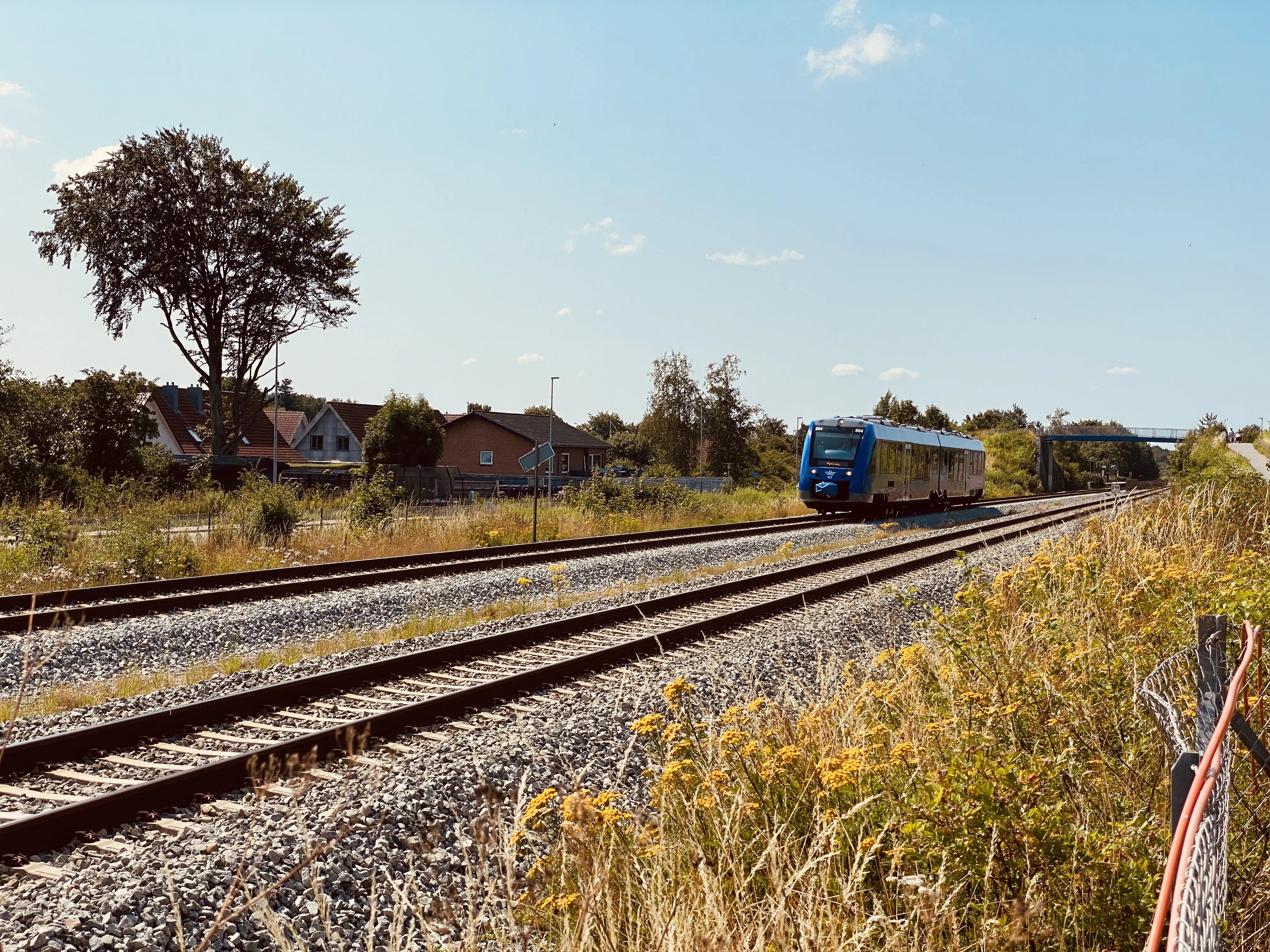 Billede af tog ud for Skalborg Trinbræt.