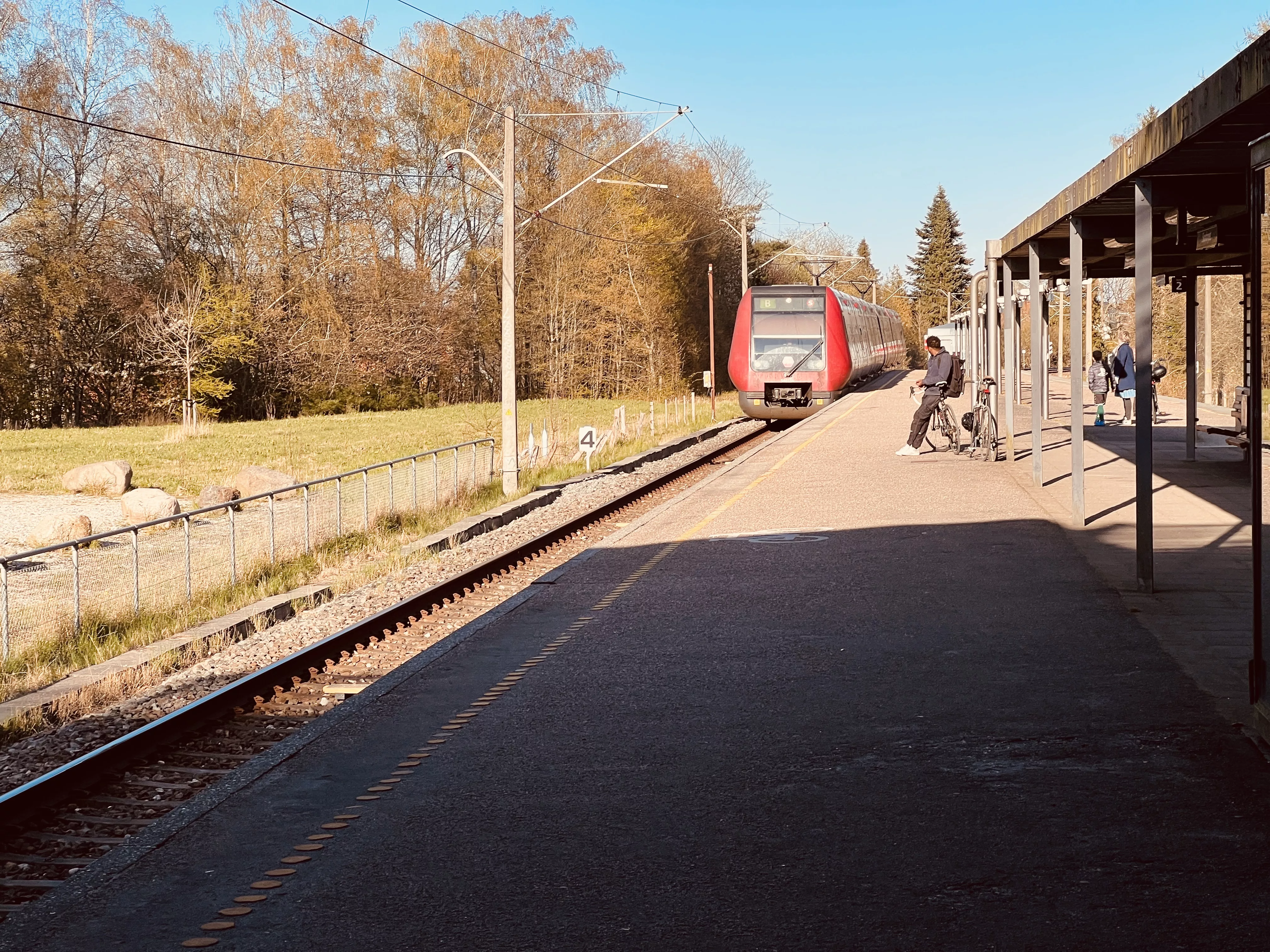 Billede af tog ud for Skovbrynet S-togstrinbræt.