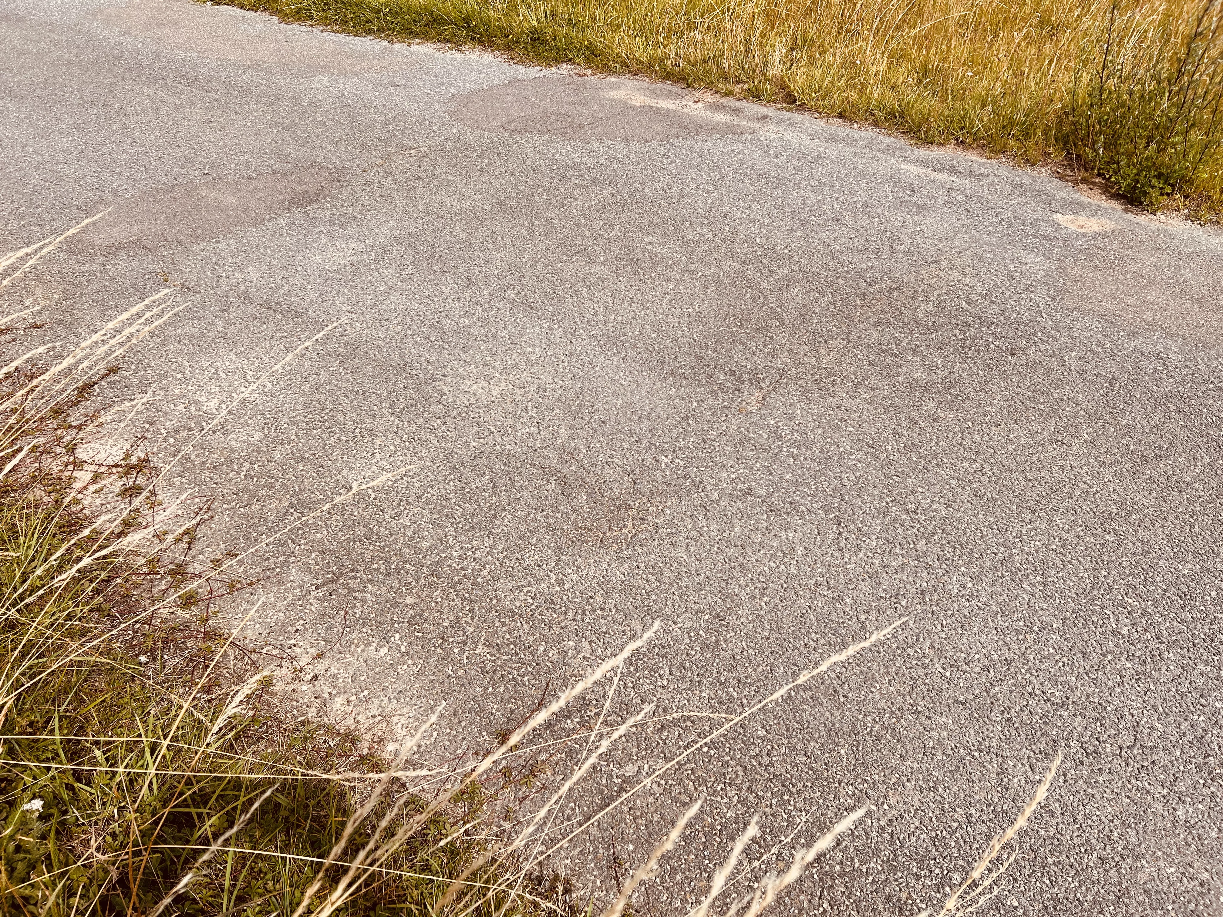 Billede af sporrester i asfalten ved det nedlagte Egholm Trinbræt.