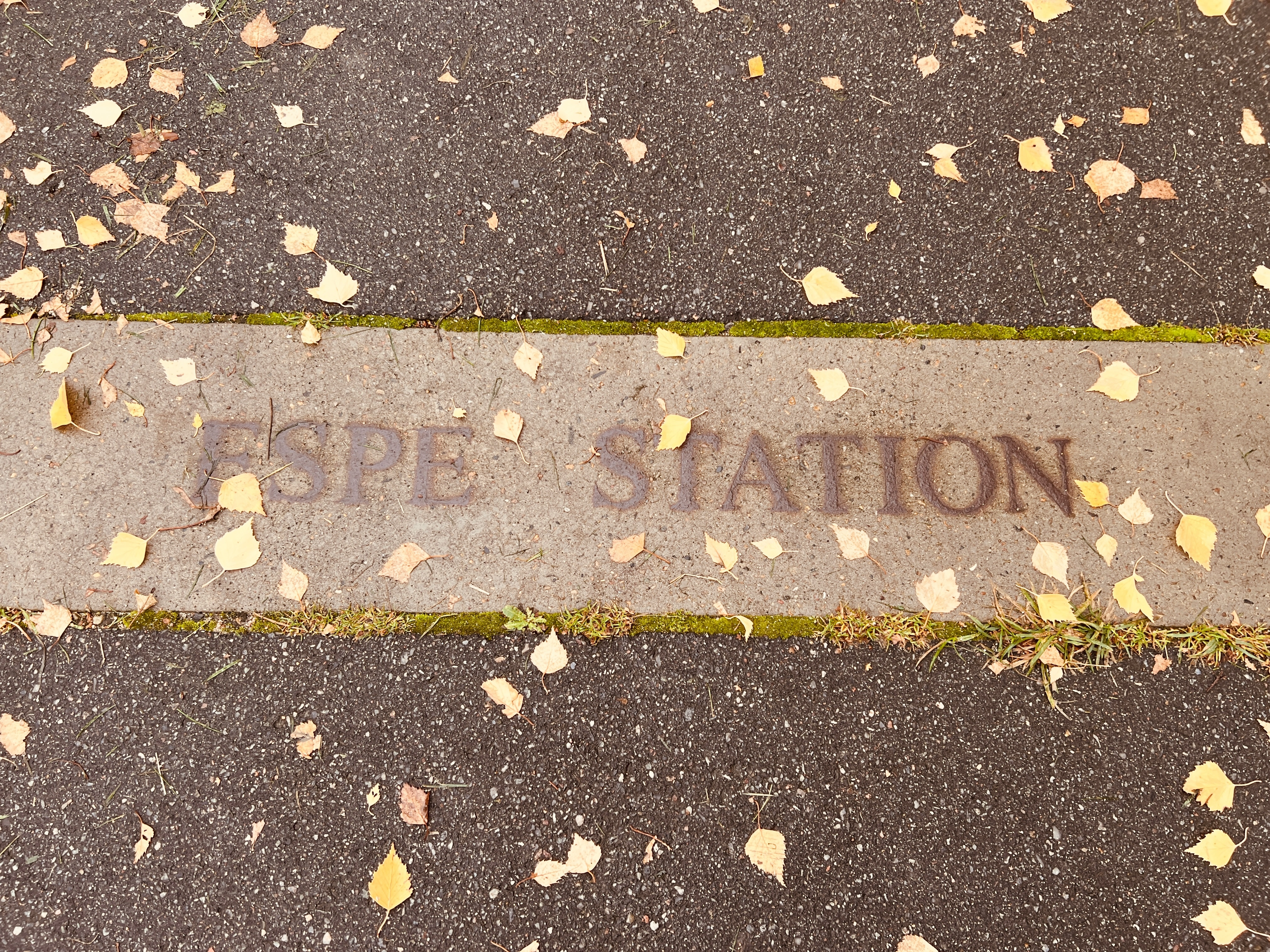 Billede af Espe Stations sporareal.