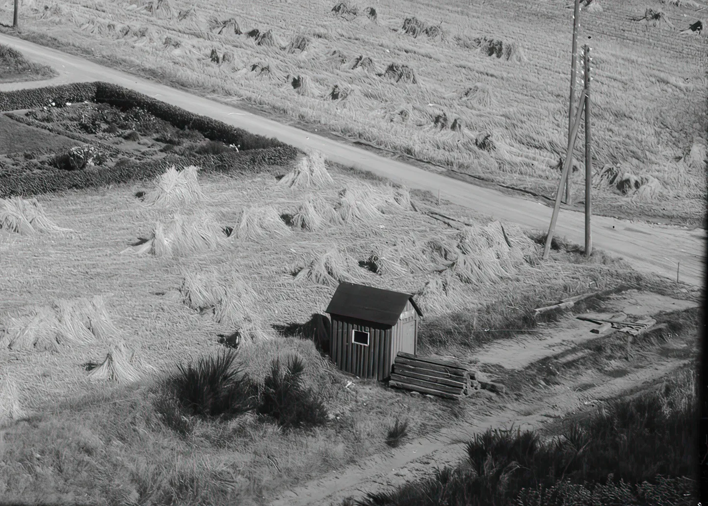 Billede af Spåbæk Trinbræt - her i 1962, hvor banen er nedlagt og skinner og sveller er ved at blive fjernet.