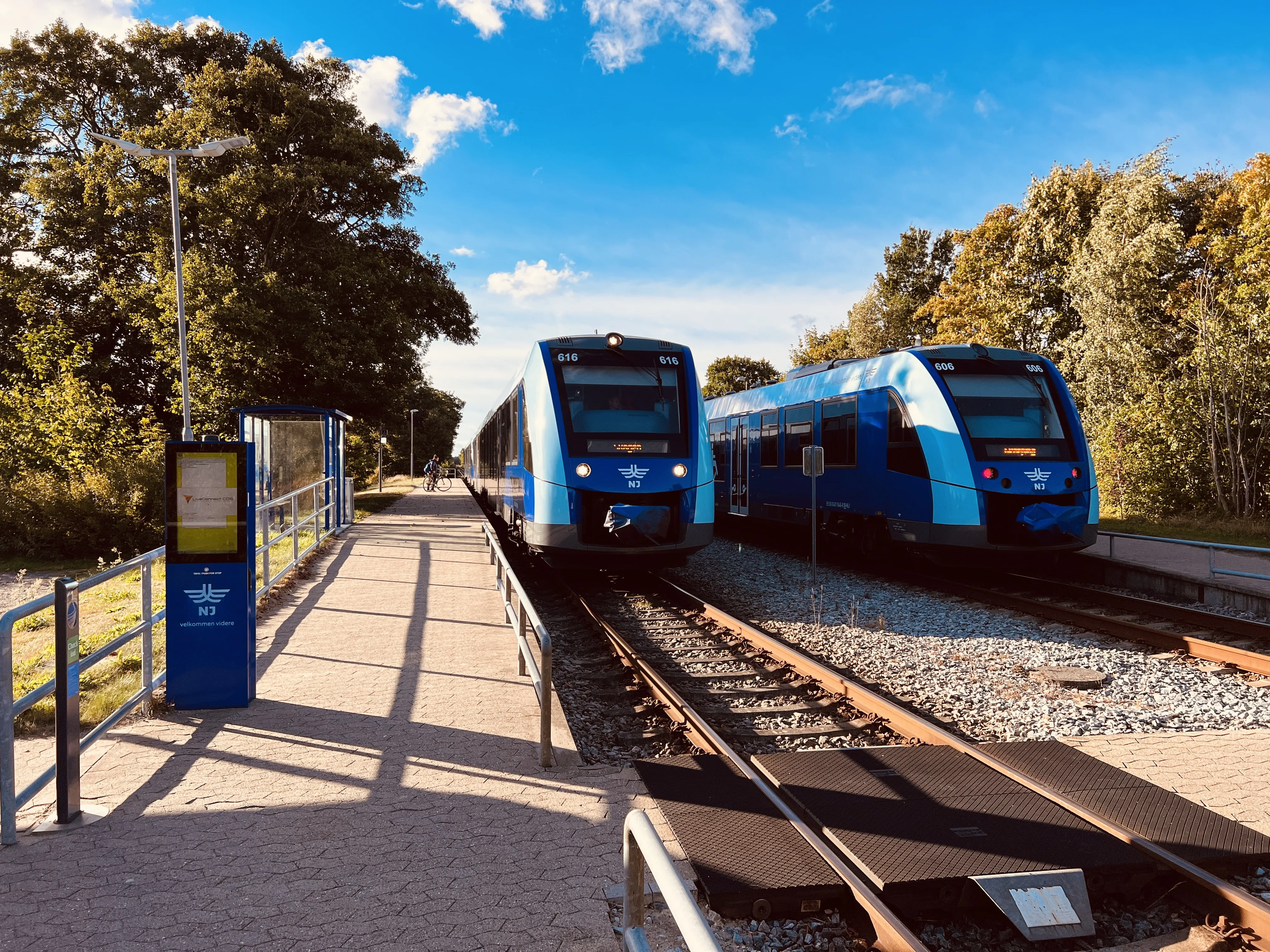 Billede af NJJ LM 606 fotograferet ud for Jerup Trinbræt.