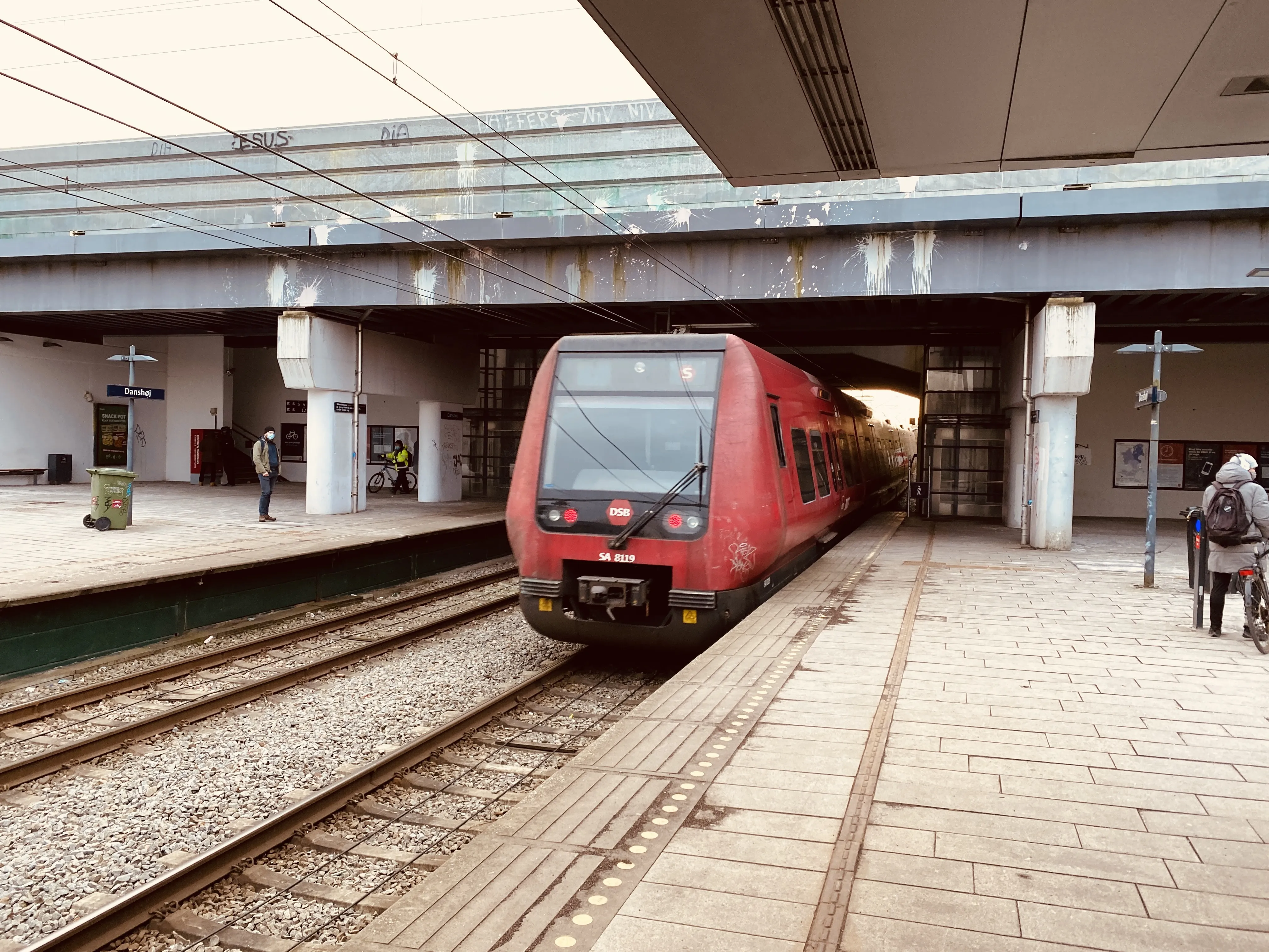 Billede af DSB SA 8119 fotograferet ud for Danshøj Trinbræt.