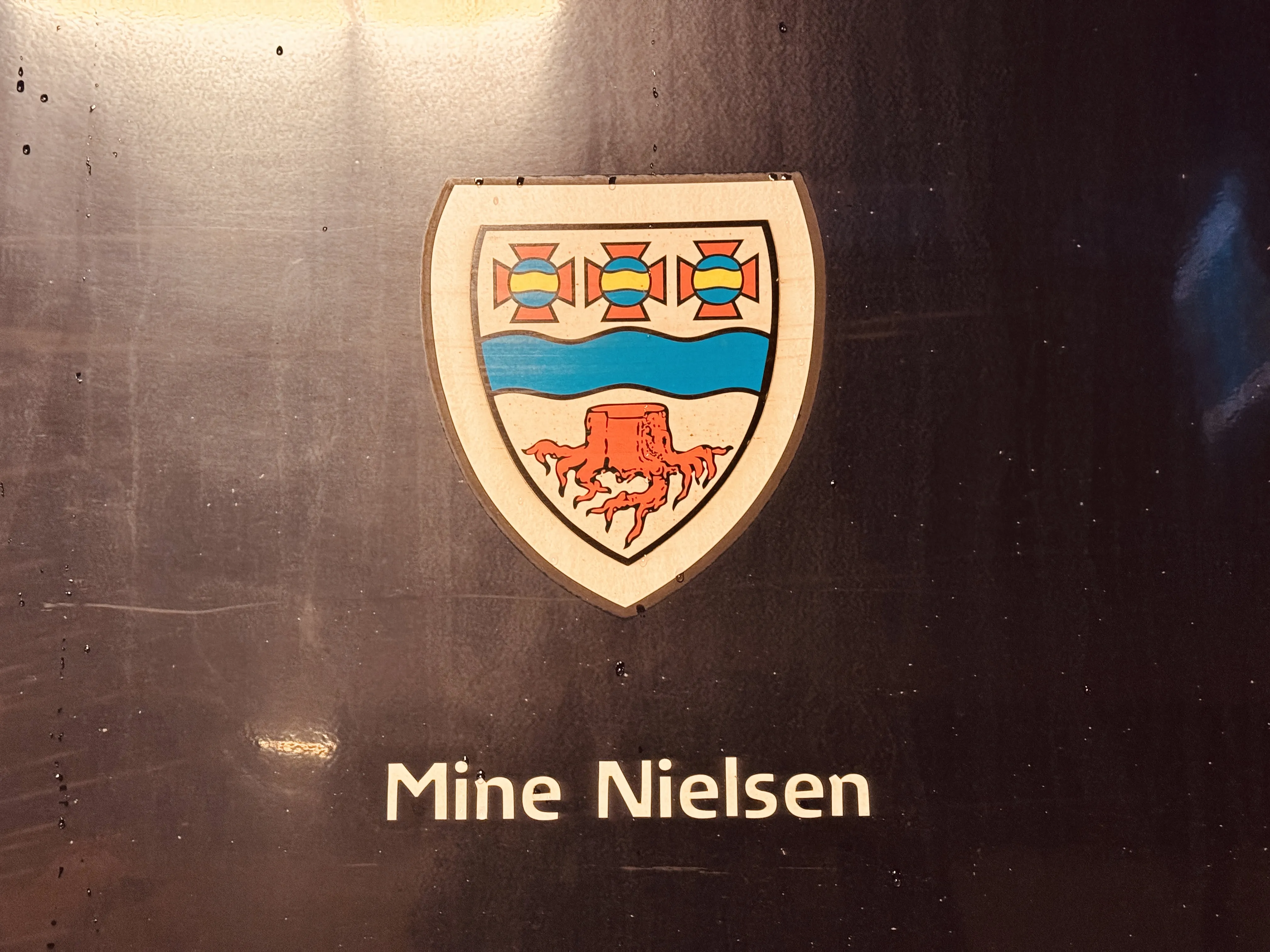 Billede af Langaas byvåben og navngivet "Mine Nielsen" på siden af DSB MF 5002 fotograferet ud for København Hovedbanegård.