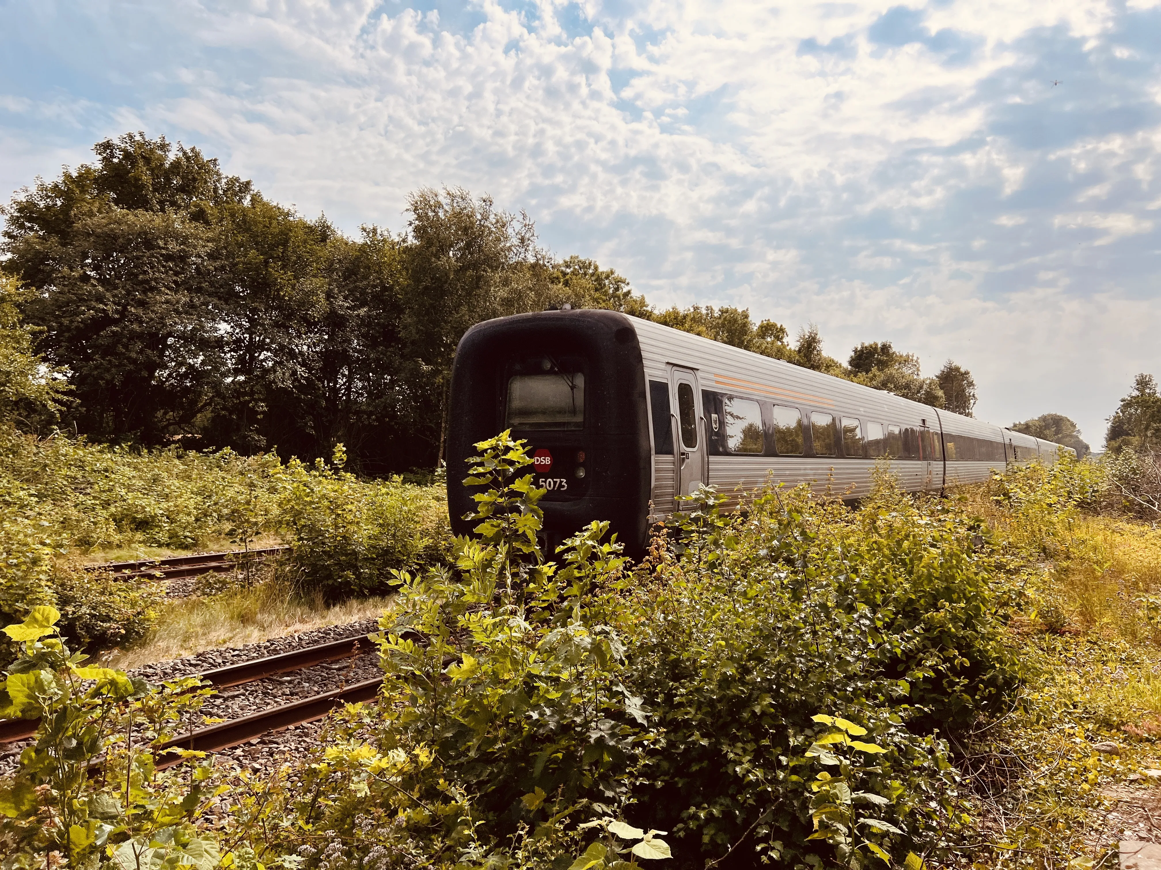 Billede af DSB MF 5073 fotograferet ud for Tvingstrup Station.