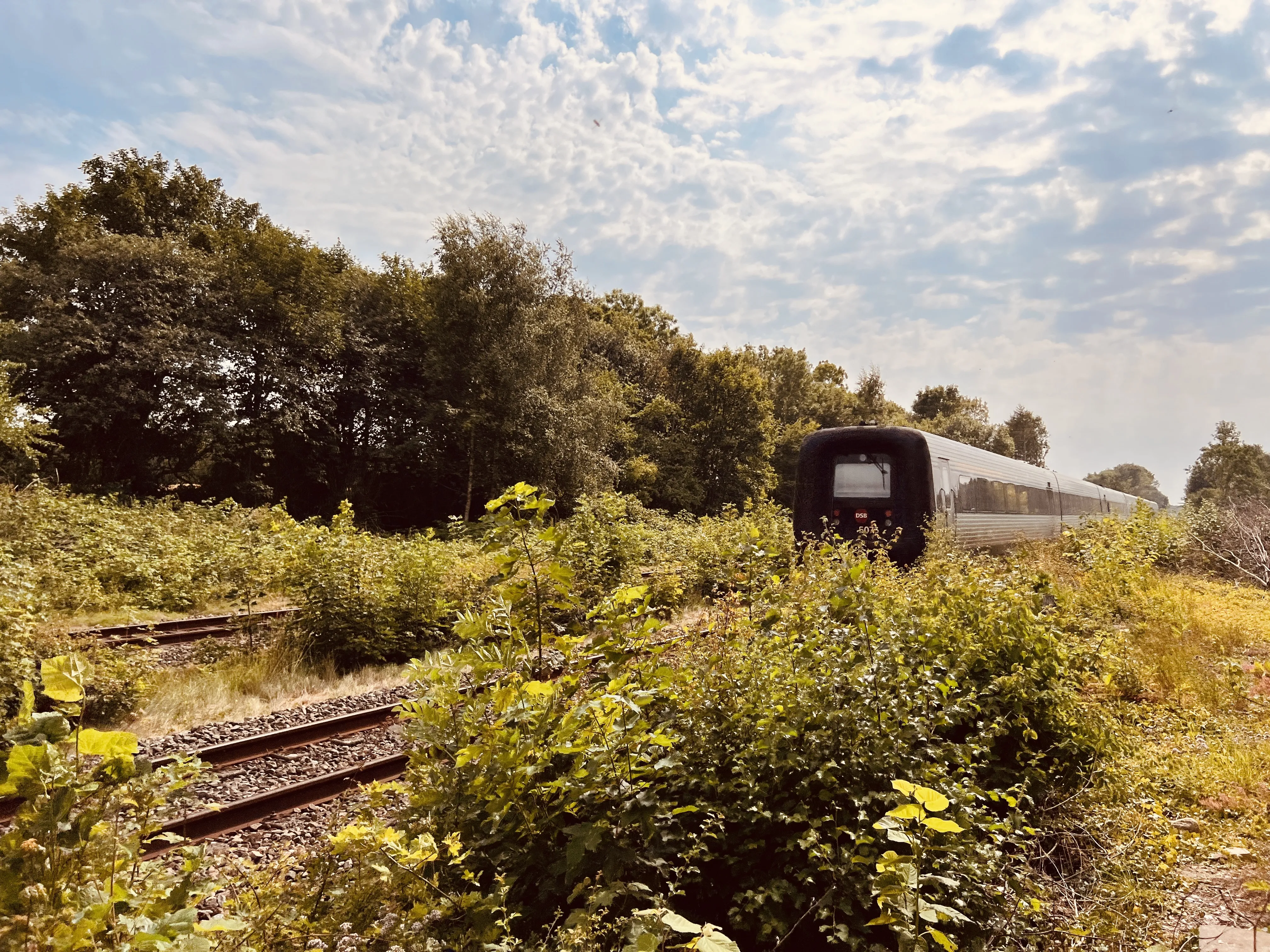 Billede af DSB MF 5073 fotograferet ud for Tvingstrup Station.