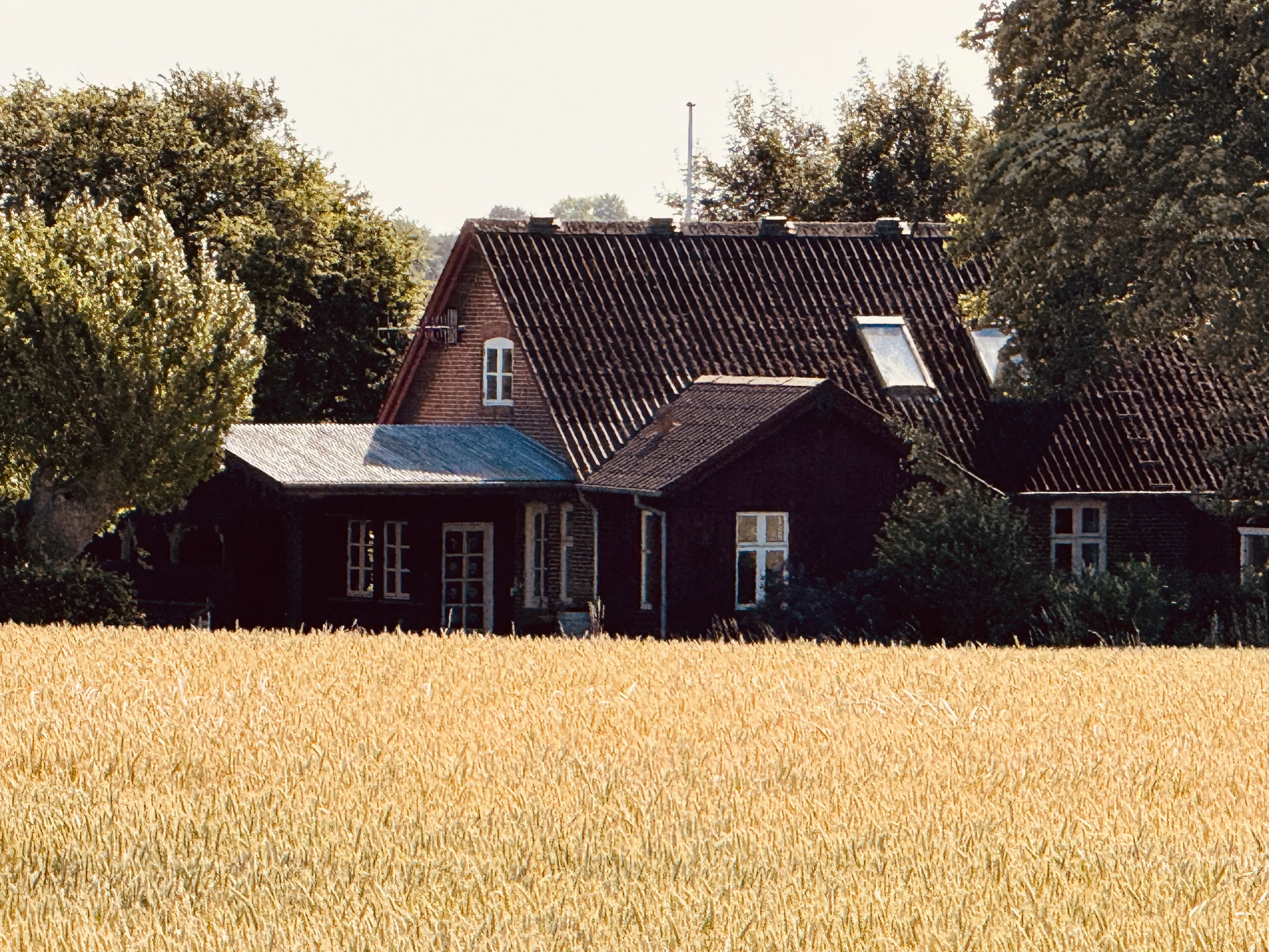 Billede af Halling Station.