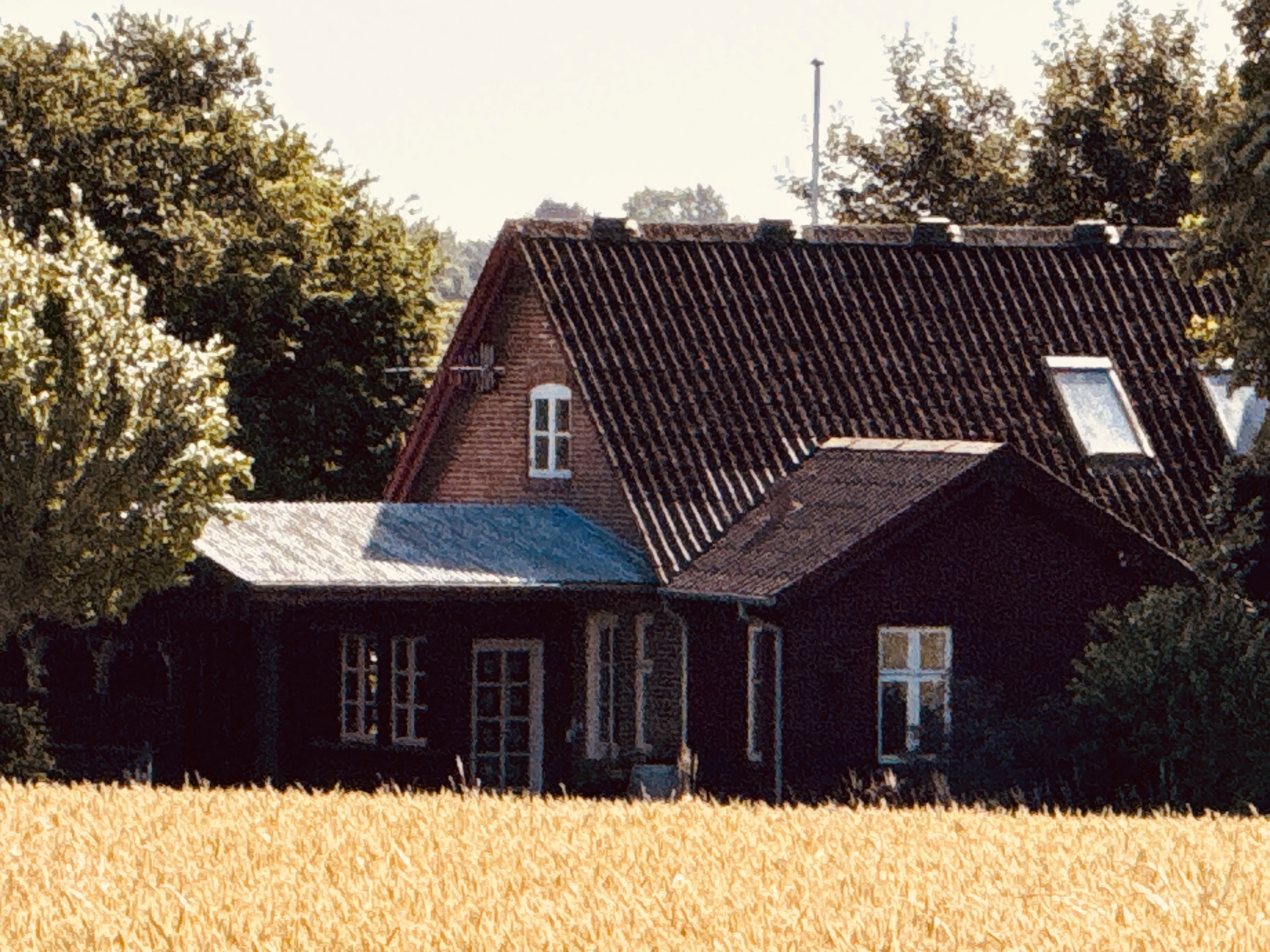 Billede af Halling Station.
