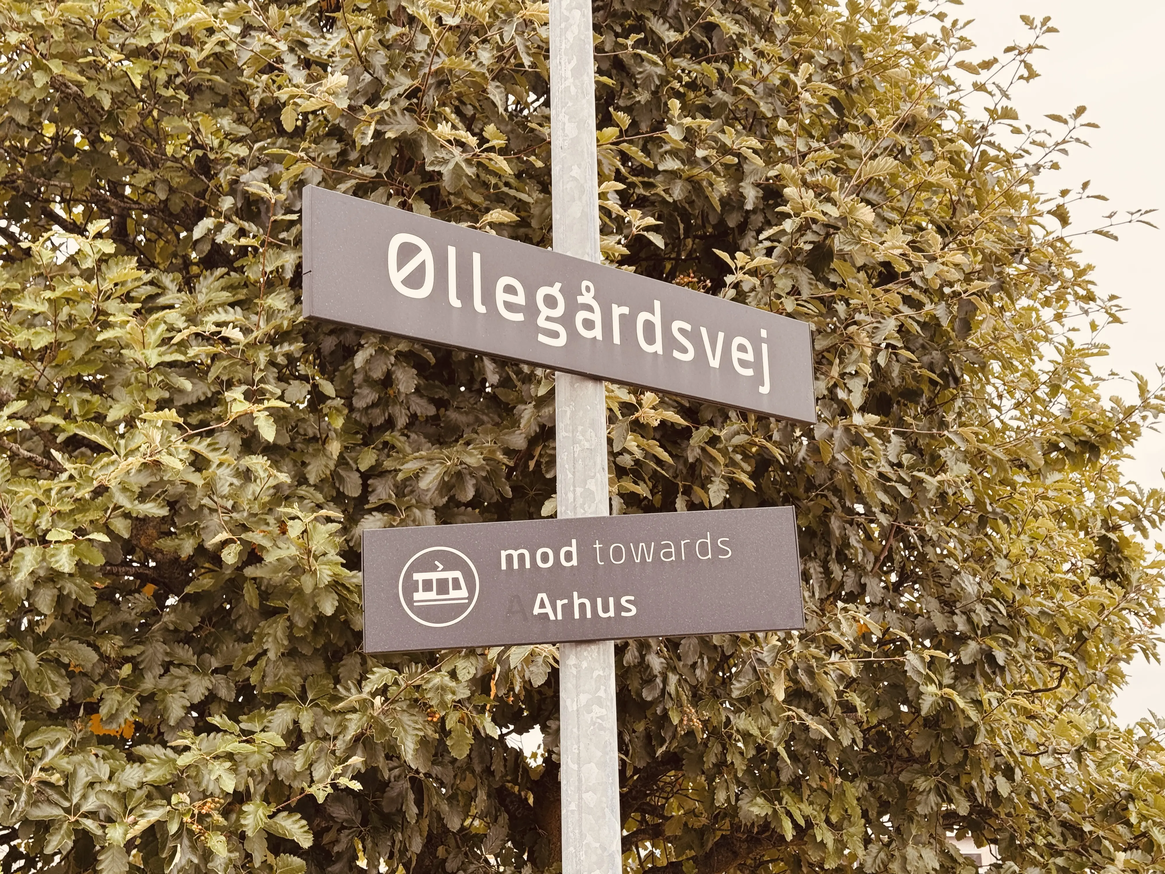 Billede af Øllegårdsvej Trinbræt. Billede af Øllegårdsvej Trinbræt.