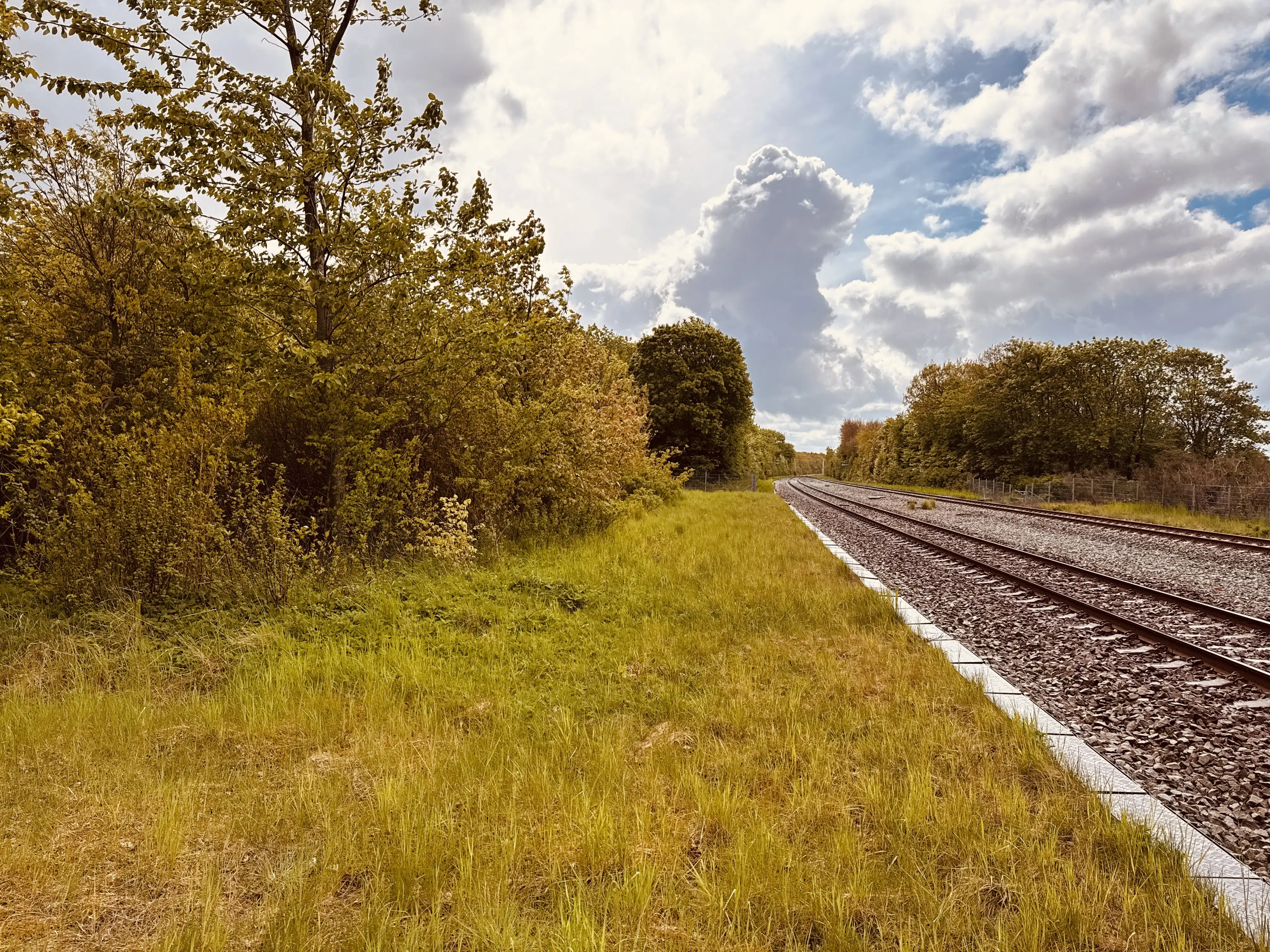 Billede af Rønbjerg Station - Station er nedrevet, men Rønbjerg Station har ligget her.