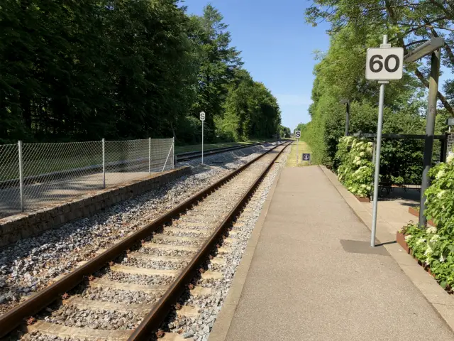 Billede af Jelling Station.