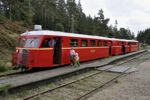 Billede af Vrads Station.