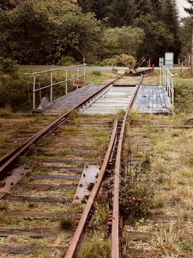 Billede af Vrads Station.