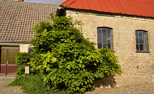 Billede af Tumbøl Stationskro.