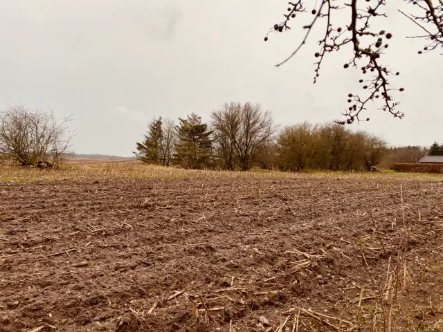 Billede af Hellevad Mølle Trinbræt.