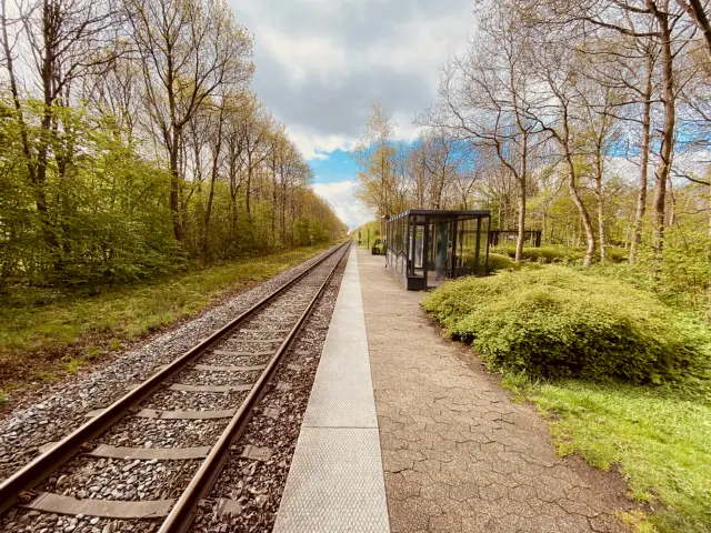 Billede af Hviding Station.