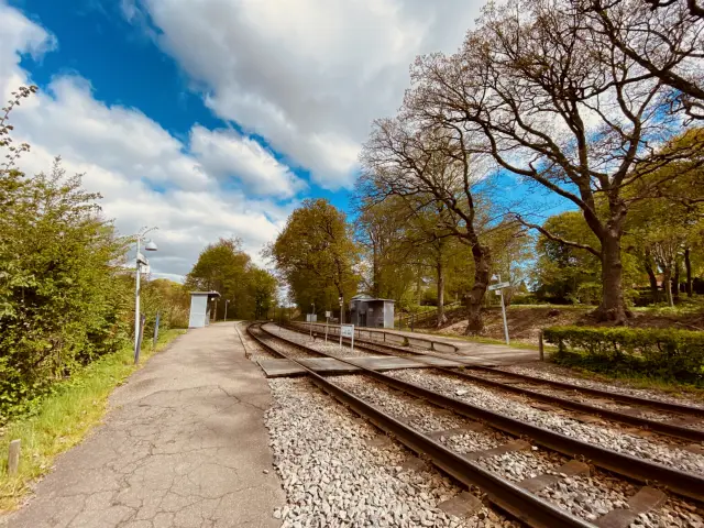Billede af Fuglevad Station.