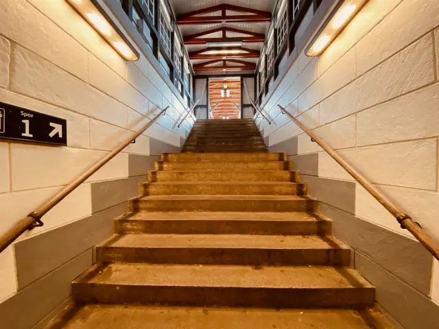 Billede af Bramming Station.