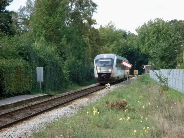 Billede af DSB MQ 4116-4916 fotograferet ud for Hjallese Station.