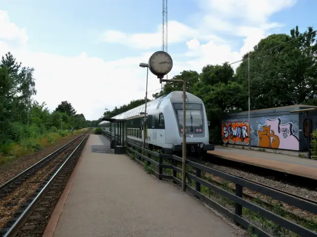 Billede af Lejre Stations sporareal.