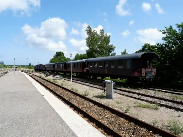 Billede af Nykøbing Sjælland Stations sporareal.