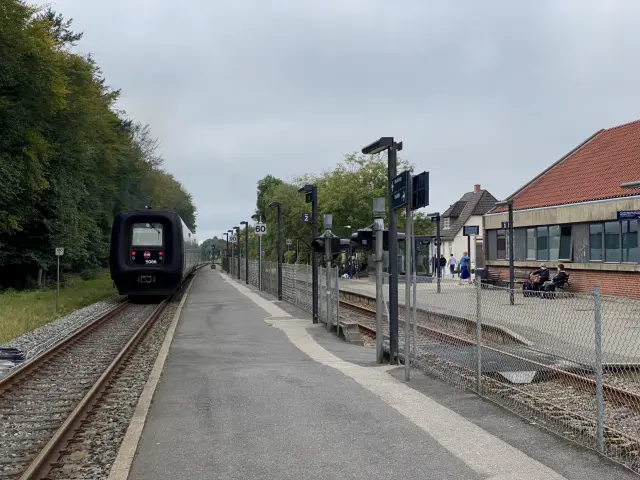 Billede af tog ud for Jelling Station.