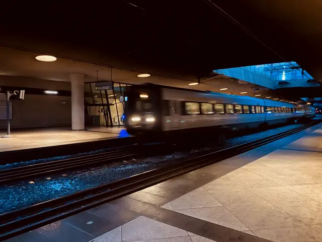 Billede af CPH Lufthavn Station.