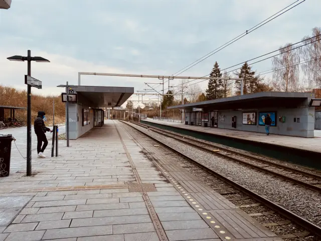 Billede af Danshøj S-togsstation.