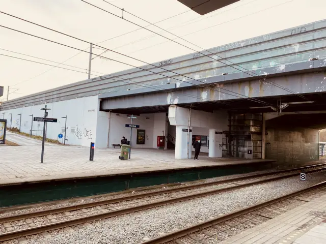 Billede af Danshøj S-togsstation.