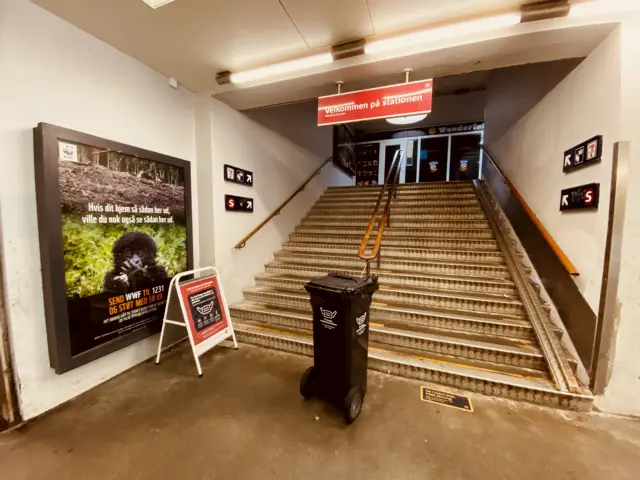 Billede af Albertslund S-togstrinbræt.