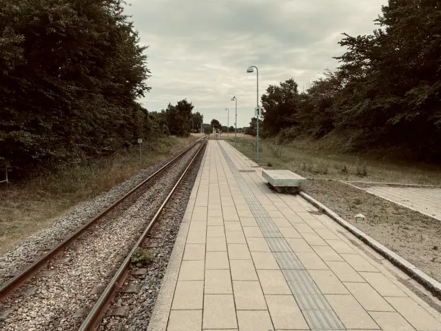 Billede af Vibehus Station.