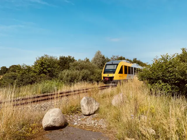 Billede af tog ud for Borupgård Trinbræt med Sidespor.
