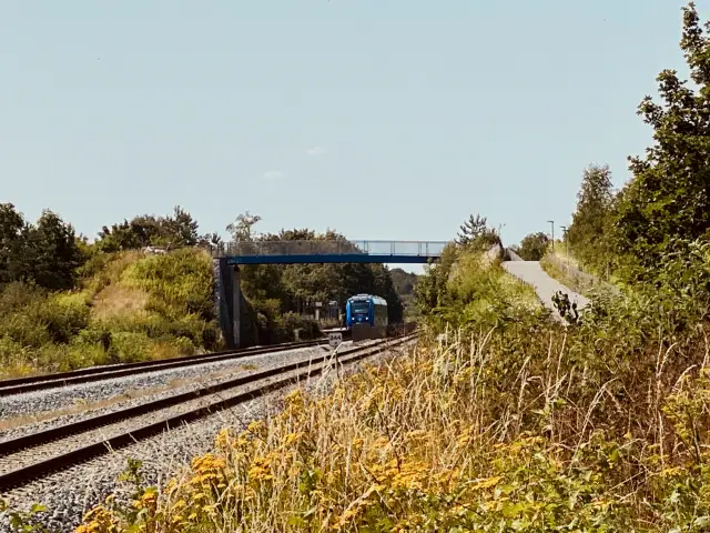 Billede af tog ud for Skalborg Station.