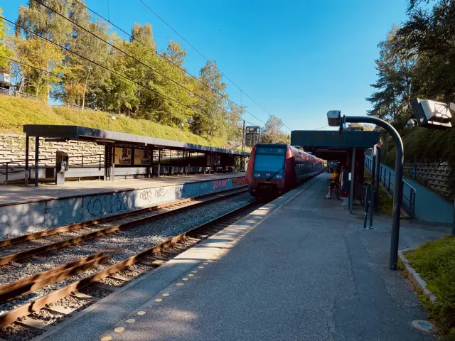 Billede af Emdrup S-togstrinbræt.