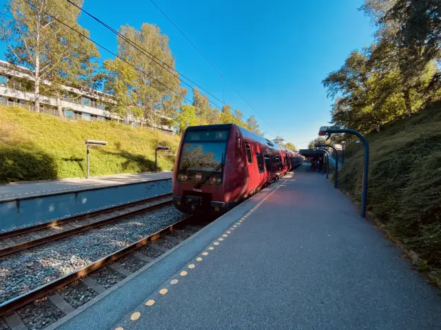 Billede af tog ud for Emdrup S-togstrinbræt.