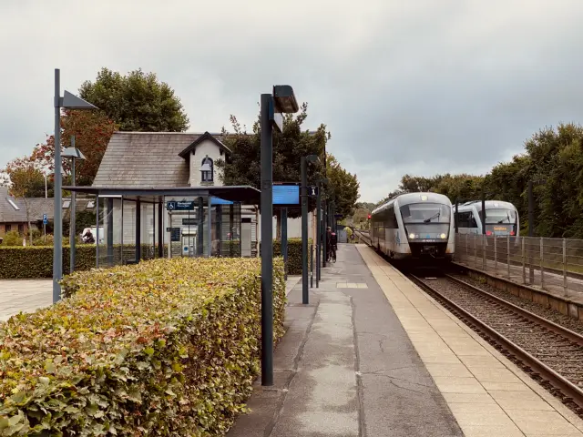 Billede af tog ud for Årslev Station.
