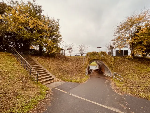 Billede af Odense Sygehus Station.