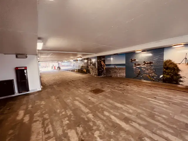 Billede af Brøndby Strand S-togstrinbræt.
