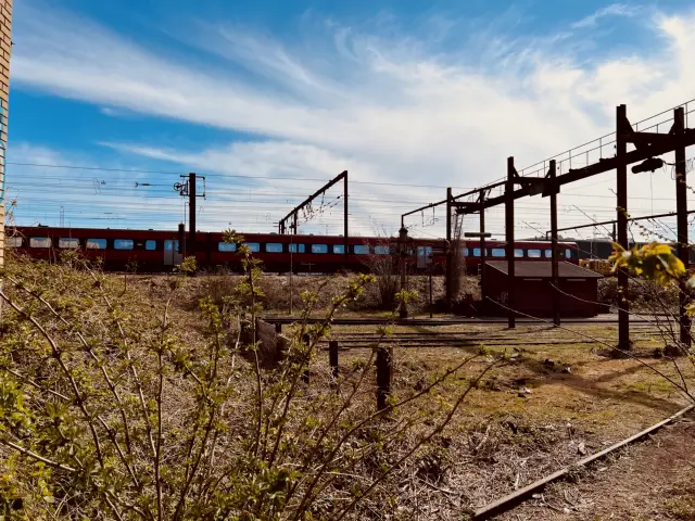 Billede af Roskilde Stations sporareal.