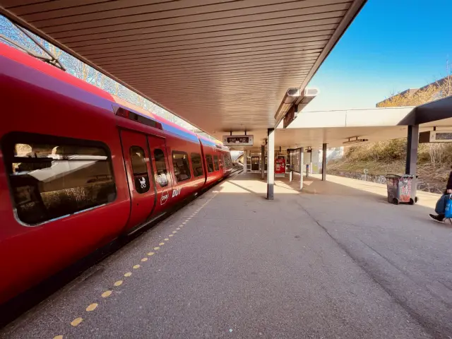 Billede af tog ud for Vangede S-togstrinbræt.