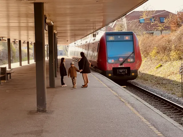Billede af tog ud for Vangede S-togstrinbræt.